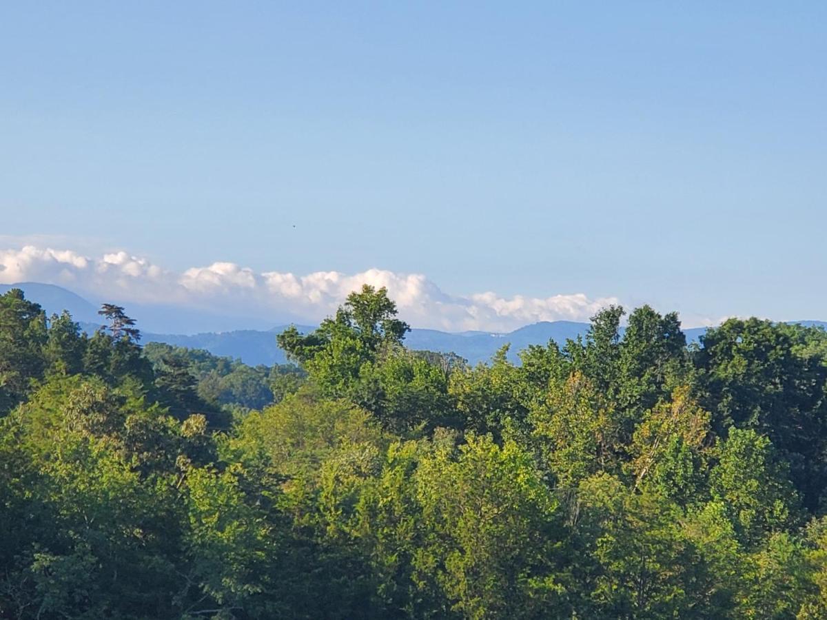 Huny Bear Lodge Pigeon Forge Exteriér fotografie