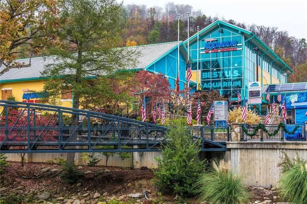 Huny Bear Lodge Pigeon Forge Exteriér fotografie